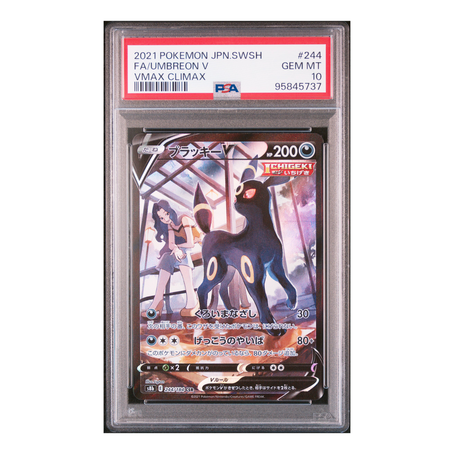 Umbreon V PSA 10 | 244/184 | VMax Climax